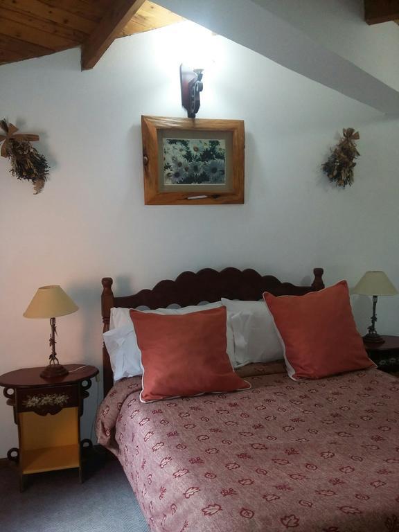 Apart De La Plaza Villa La Angostura Εξωτερικό φωτογραφία