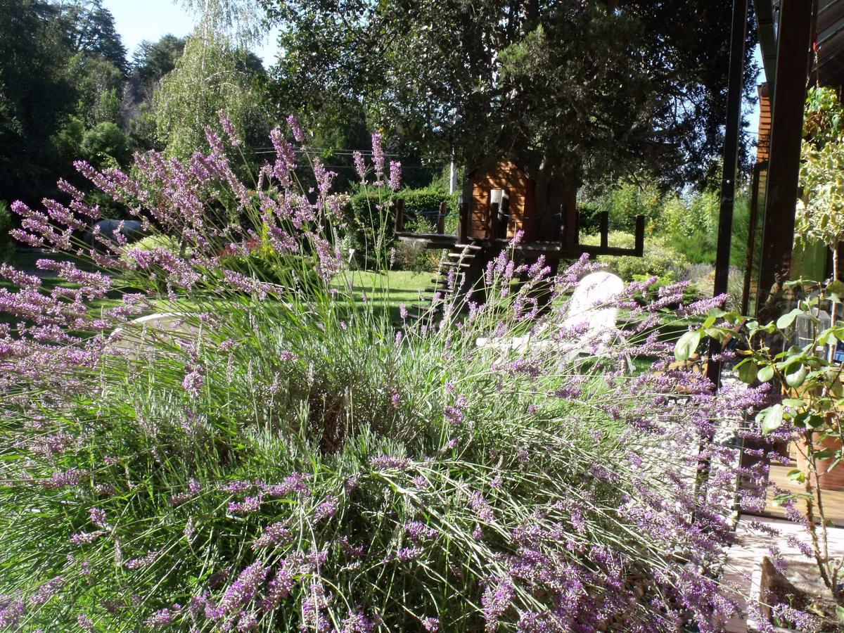 Apart De La Plaza Villa La Angostura Δωμάτιο φωτογραφία